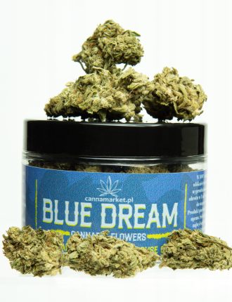 Buy Blue Dream Online Amsterdam